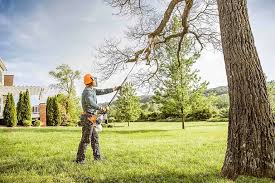Lawn Renovation and Restoration in Cayucos, CA